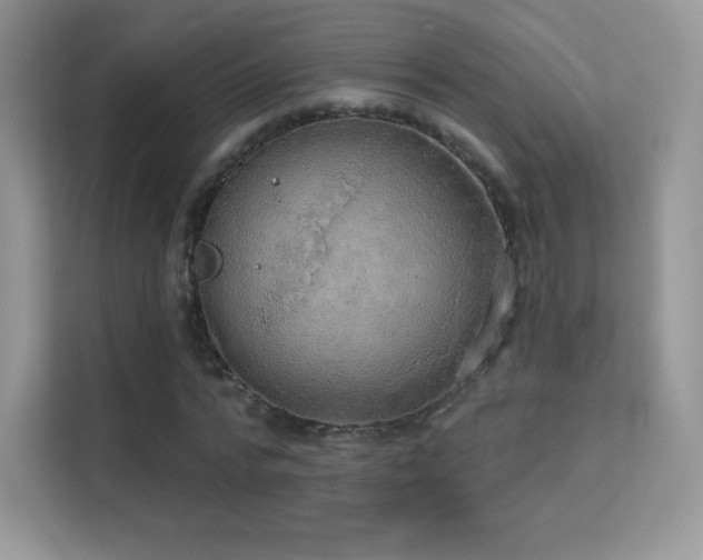 X0000113550776200909251037