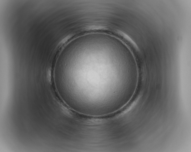 X0000113550777200909251037