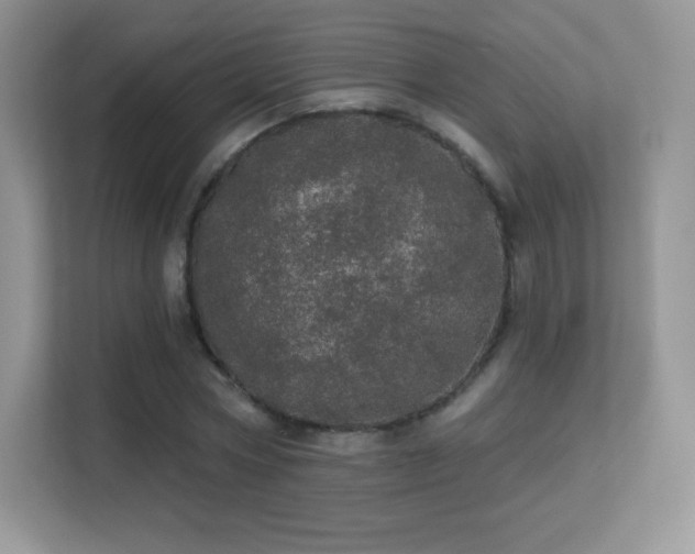 X0000113550778200909251037