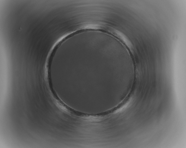 X0000113550779200909251037