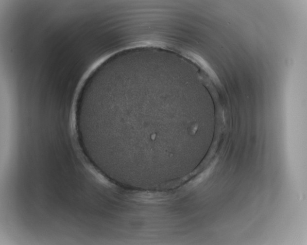 X0000113550780200909251037