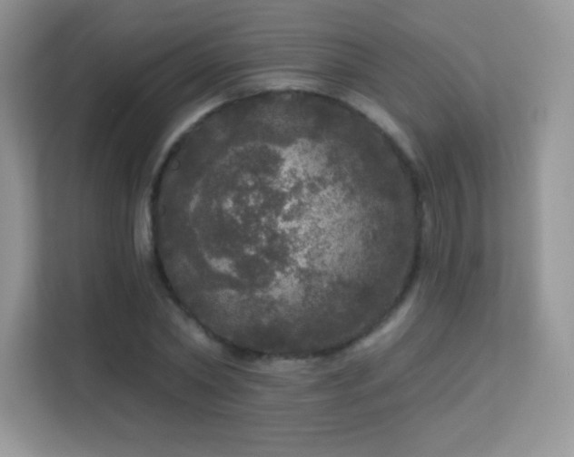 X0000113550782200909251037