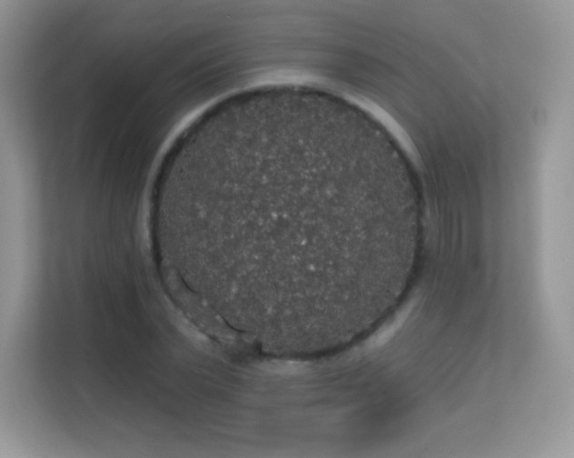 X0000113550783200909251037