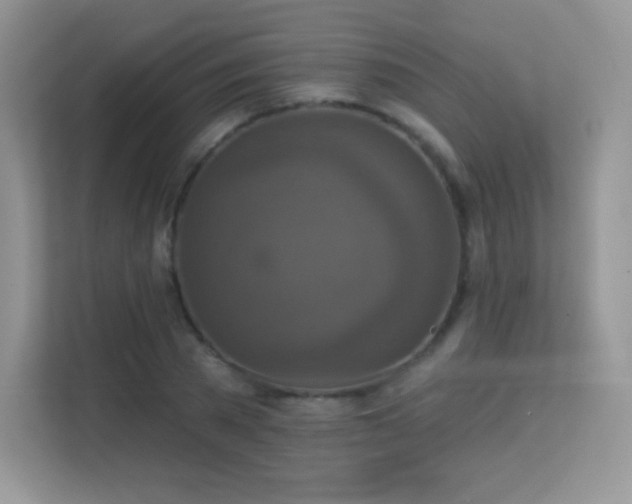 X0000113550785200909251037