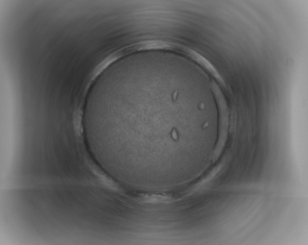 X0000113550786200909251037