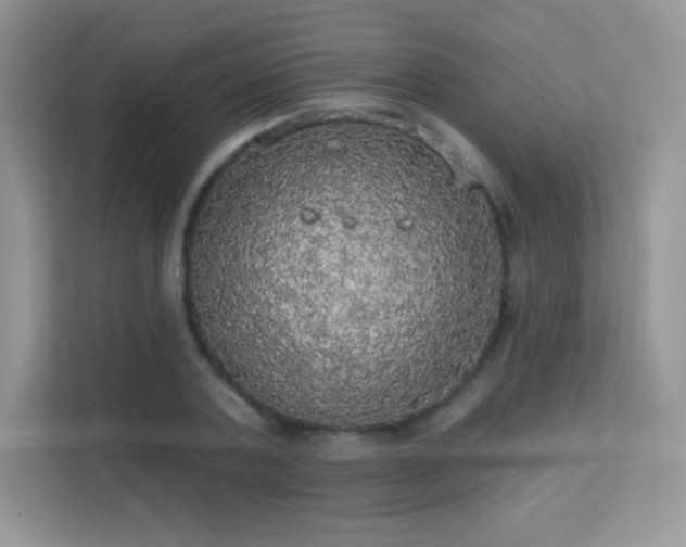 X0000113550787200909251037