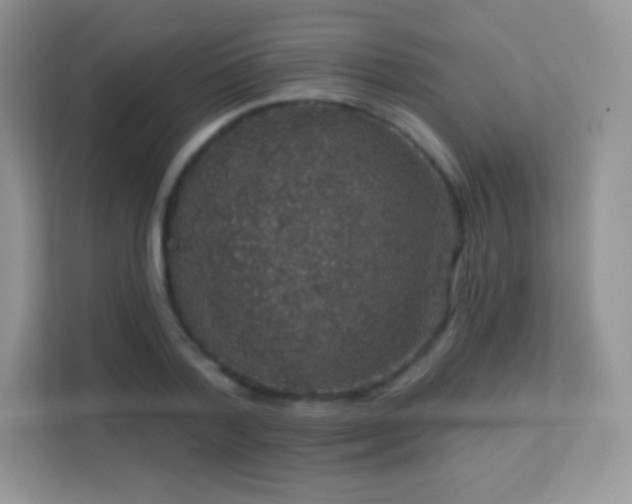 X0000113550788200909251037