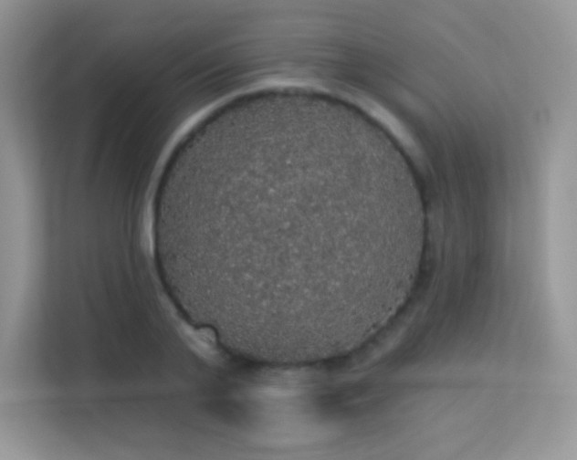 X0000113550791200909251037