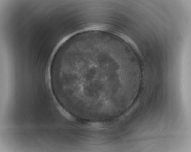 X0000113550792200909251037