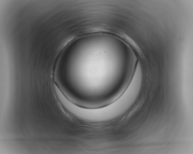 X0000113550793200909251037