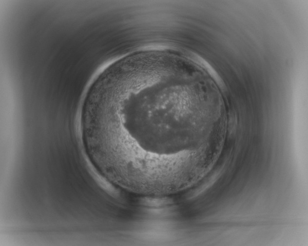 X0000113550795200909251037