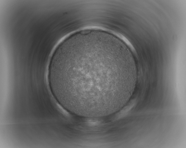 X0000113550799200909251037