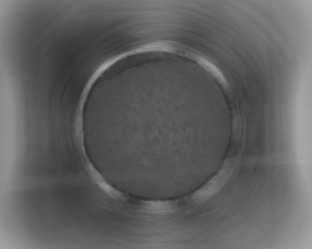 X0000113550800200909251037