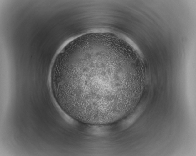 X0000113550803200909251037