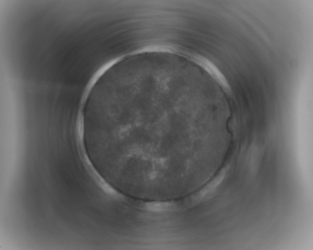 X0000113550804200909251036