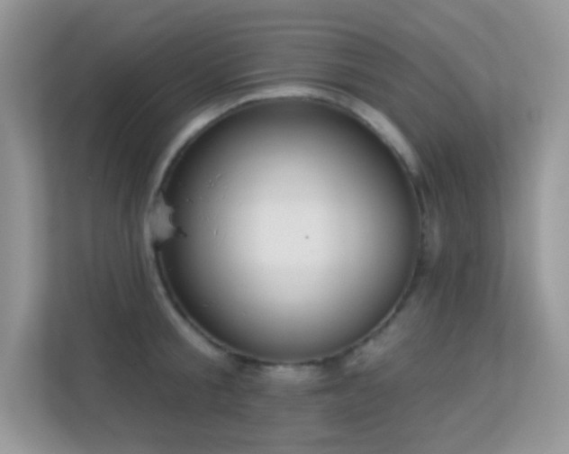 X0000113550805200909251036