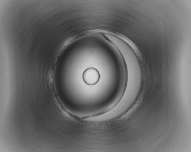 X0000113550809200909251036