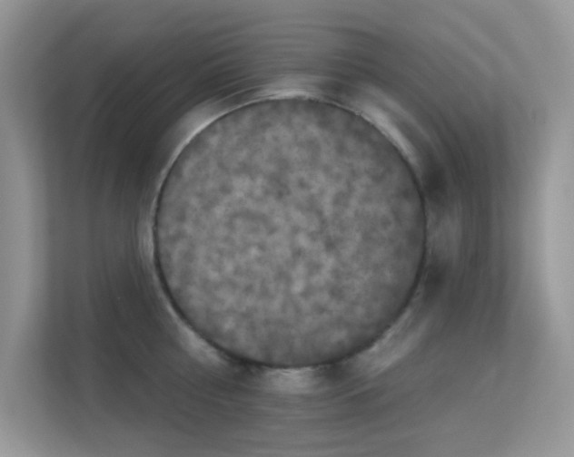 X0000113550810200909251036