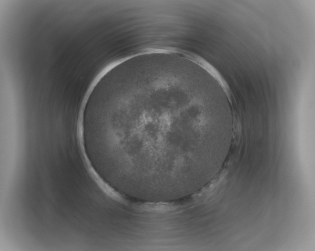 X0000113550811200909251036