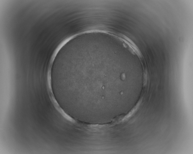 X0000113550812200909251036