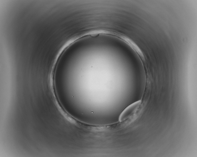 X0000113550813200909251036