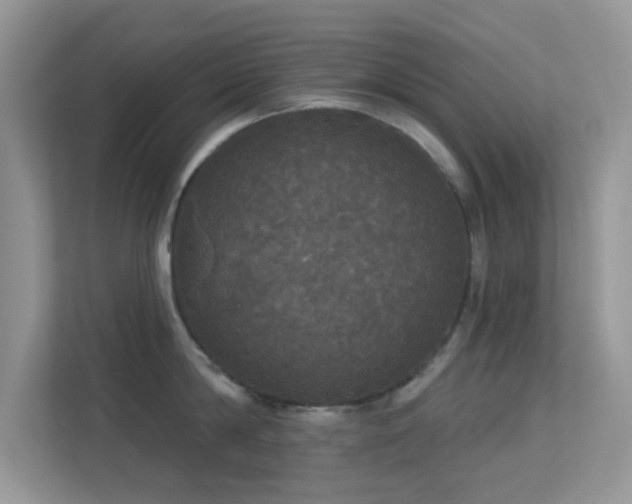 X0000113550814200909251036