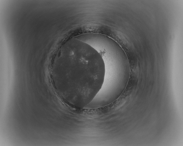 X0000113550817200909251036