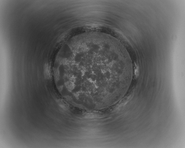 X0000113550819200909251036