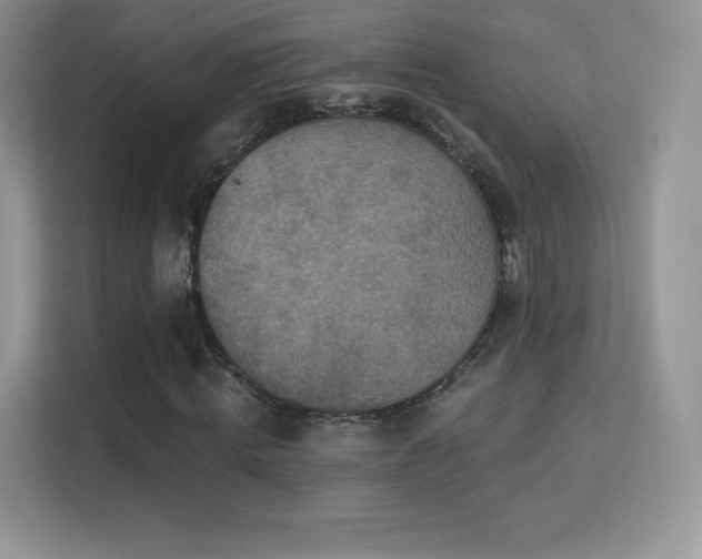 X0000113550820200909251036