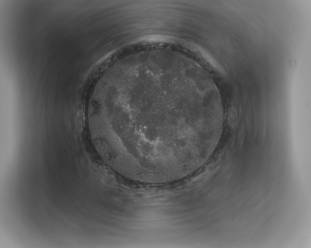 X0000113550821200909251036