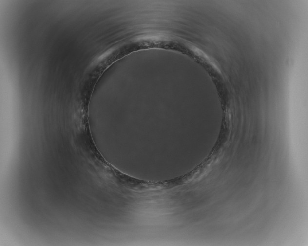 X0000113550822200909251036