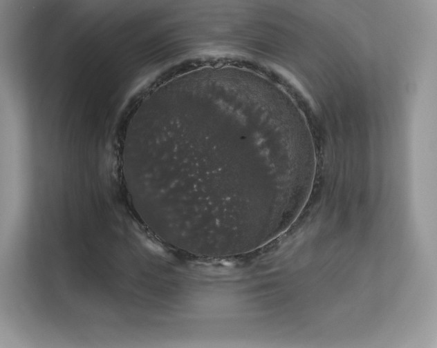 X0000113550823200909251036