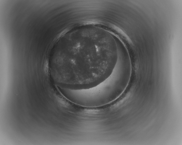 X0000113550825200909251036