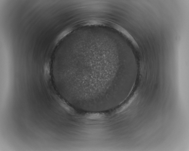 X0000113550826200909251036