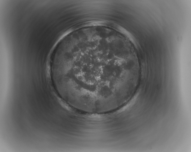 X0000113550827200909251036