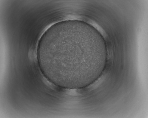 X0000113550828200909251036