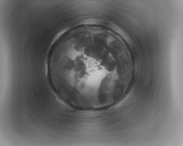 X0000113550829200909251036