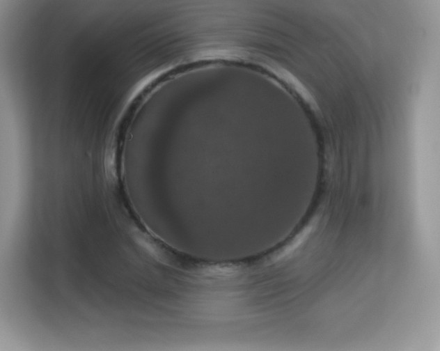 X0000113550830200909251036