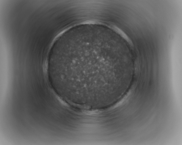 X0000113550831200909251036