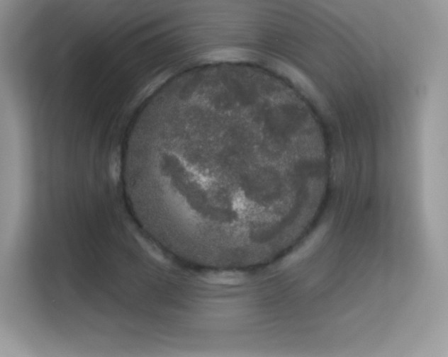 X0000113550833200909251036