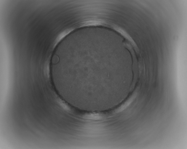 X0000113550834200909251036