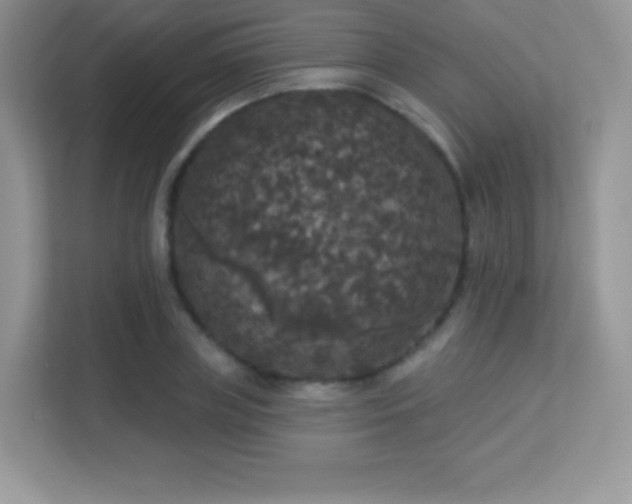 X0000113550835200909251036