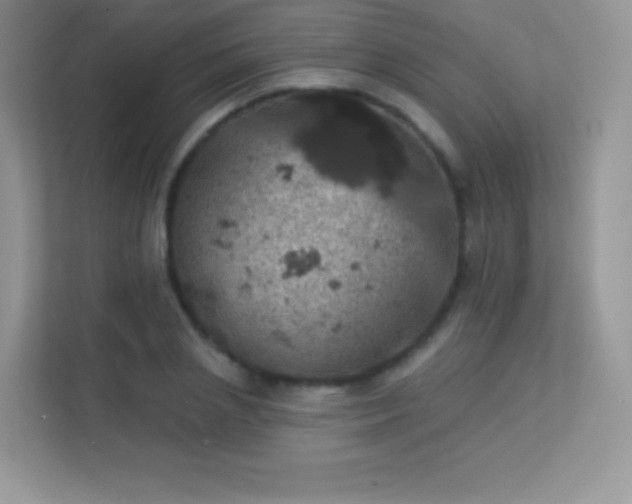 X0000113550837200909251036