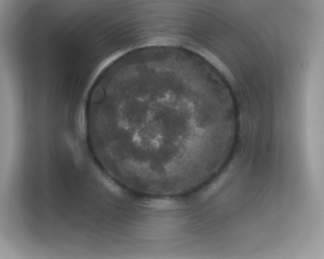 X0000113550838200909251036