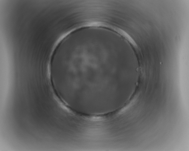 X0000113550839200909251036