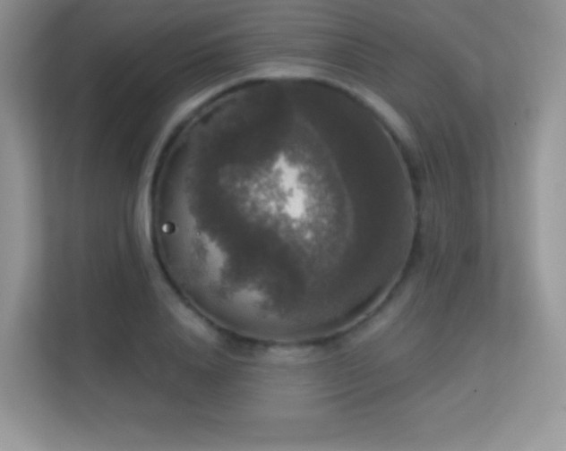 X0000113550840200909251036