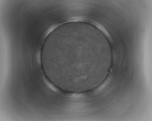 X0000113550842200909251036