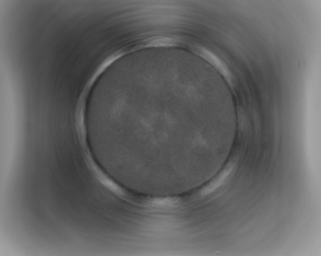 X0000113550843200909251036