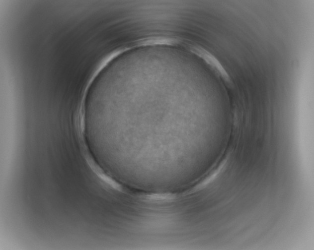 X0000113550844200909251036