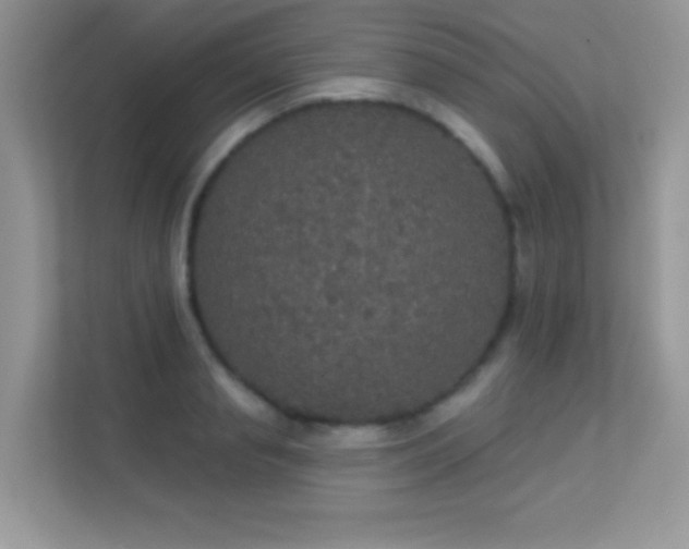 X0000113550845200909251036